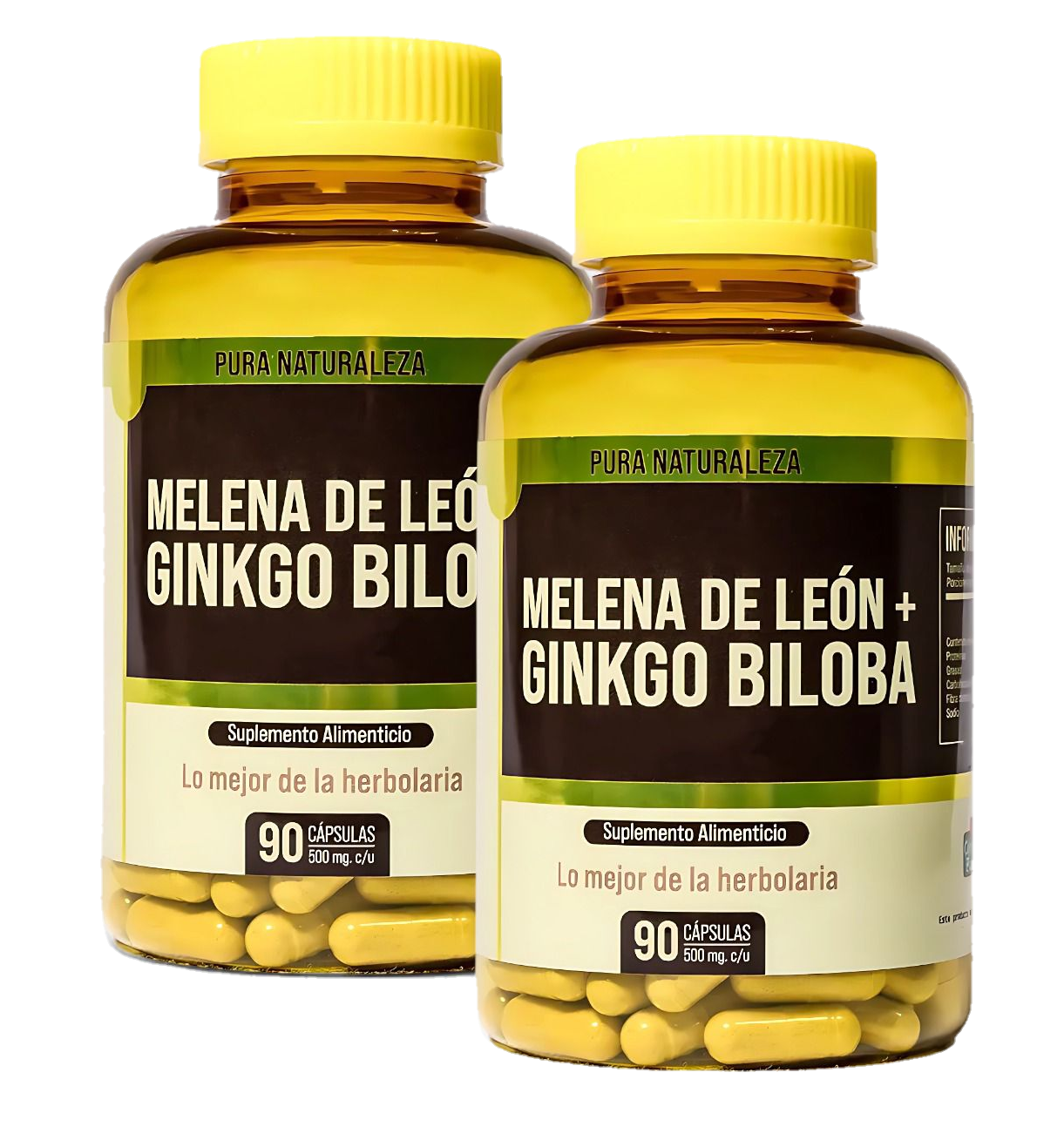 MELENA DE LEÓN + GINKGO BILOBA (2x1)
